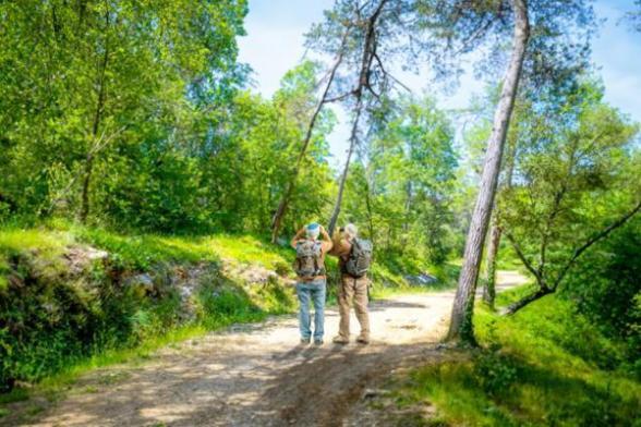 Agrandir l'image, fenêtre modale