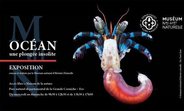 Expo Océan - Une plongée insolite - Enlarge image, modal window