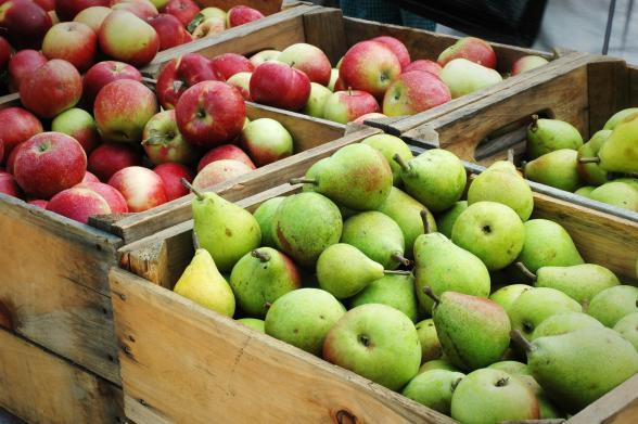 Pommes et poires - Agrandir l'image, fenêtre modale