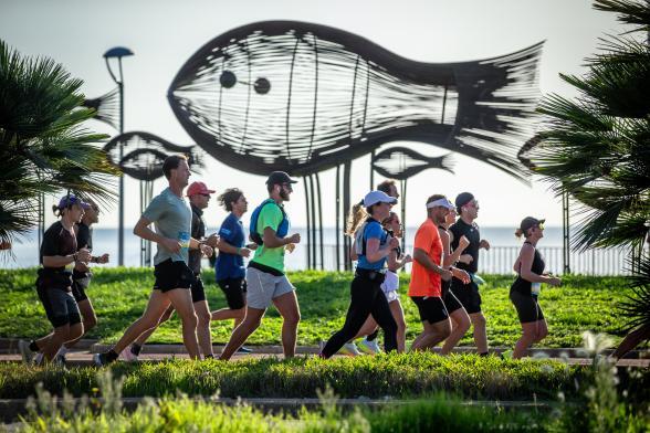 Marathon des Alpes-Maritimes - Agrandir l'image, fenêtre modale
