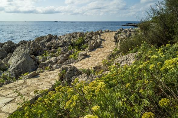 Espèces du sentier du littoral - Cap d'Antibes - Agrandir l'image, fenêtre modale