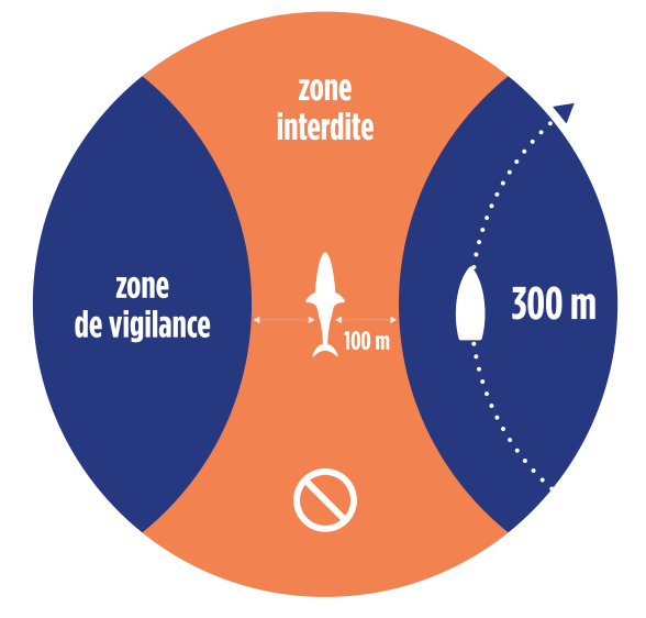 Code de bonne conduite - Agrandir l'image, fenêtre modale
