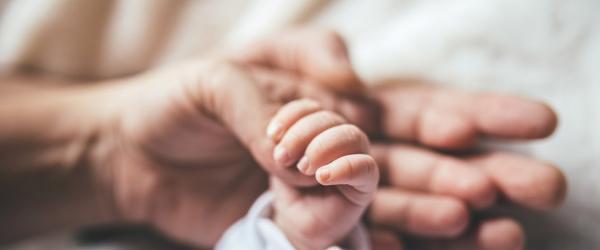 Une main d'adulte avec une main d'un nourrisson