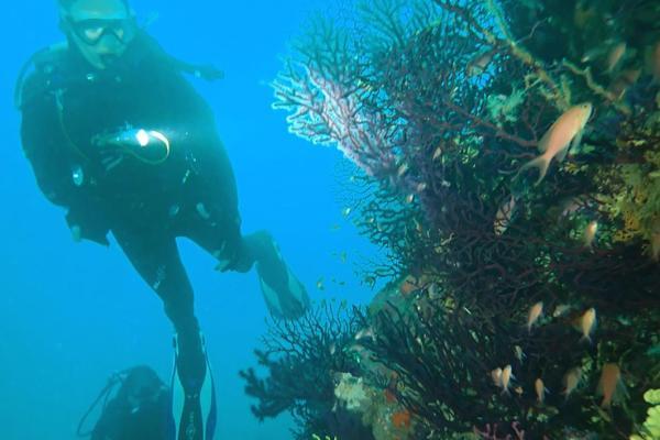 Activités aquatiques