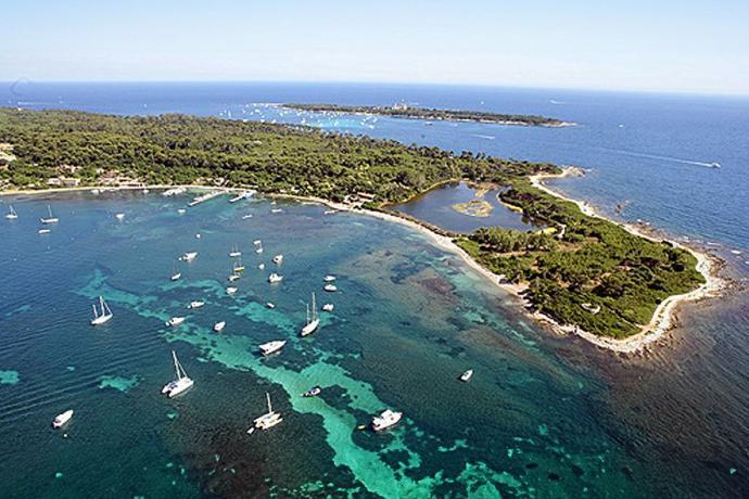 Forêt de l'île Sainte Marguerite