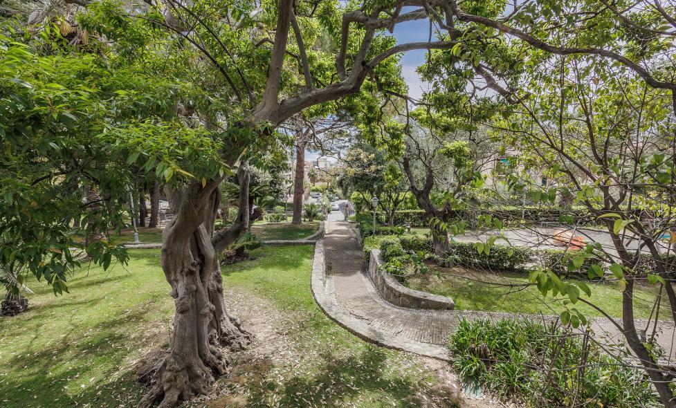 JARDIN MONET - Agrandir l'image, fenêtre modale