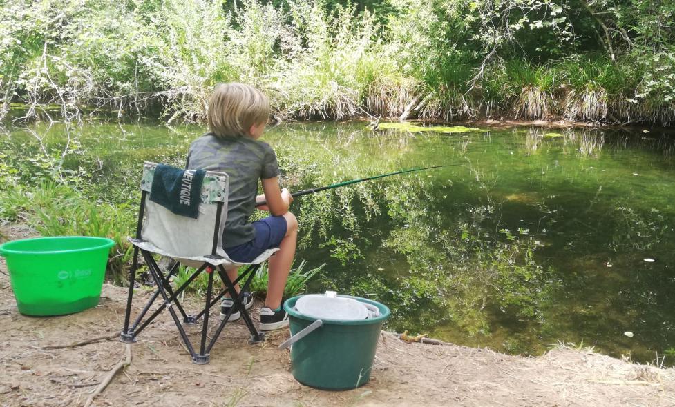 Agrandir l'image, fenêtre modale