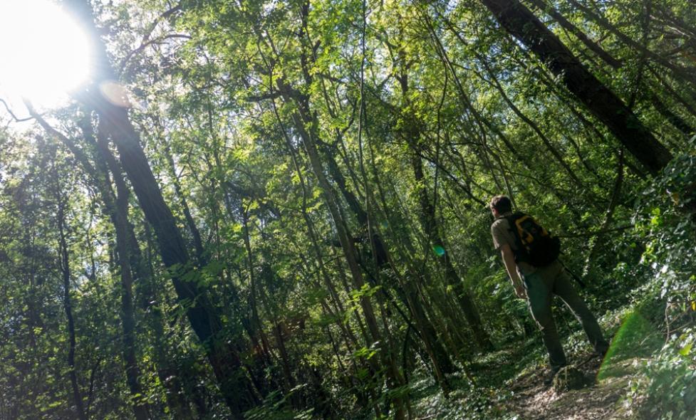 Agrandir l'image, fenêtre modale