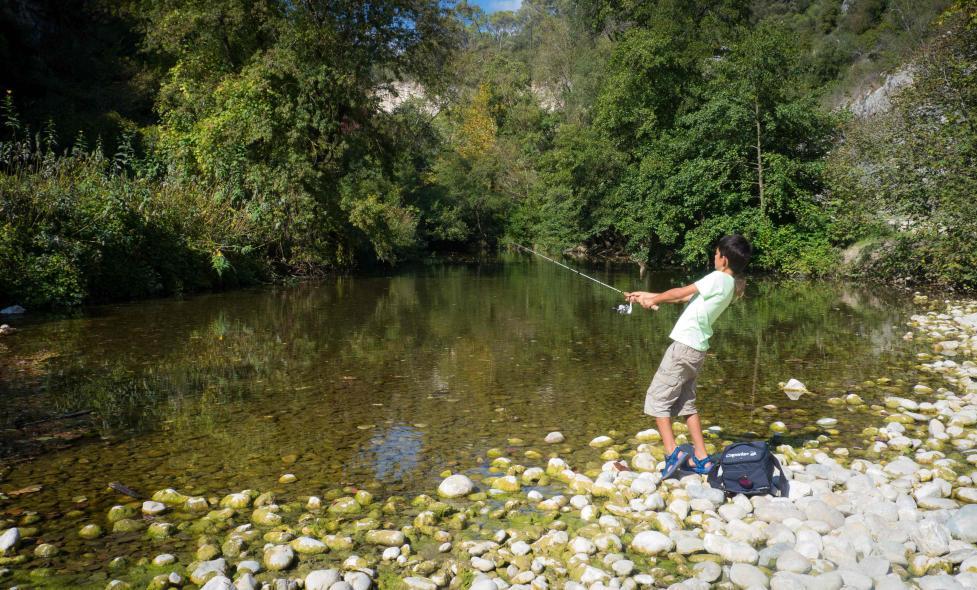 Agrandir l'image, fenêtre modale