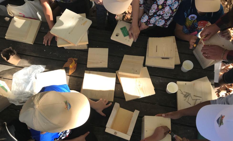 Agrandir l'image, fenêtre modale