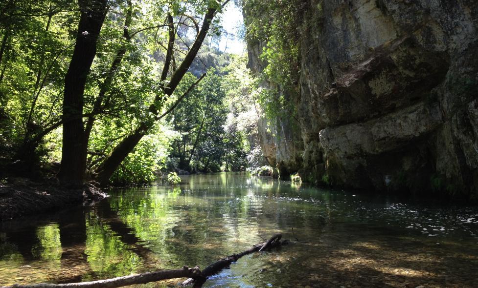 A. Vasseur - Agrandir l'image, fenêtre modale