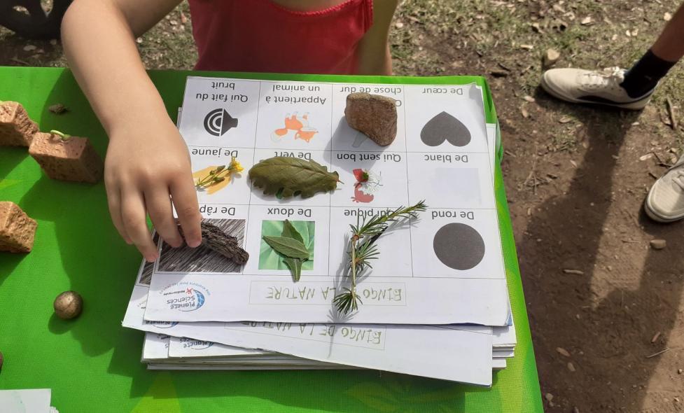 Agrandir l'image, fenêtre modale