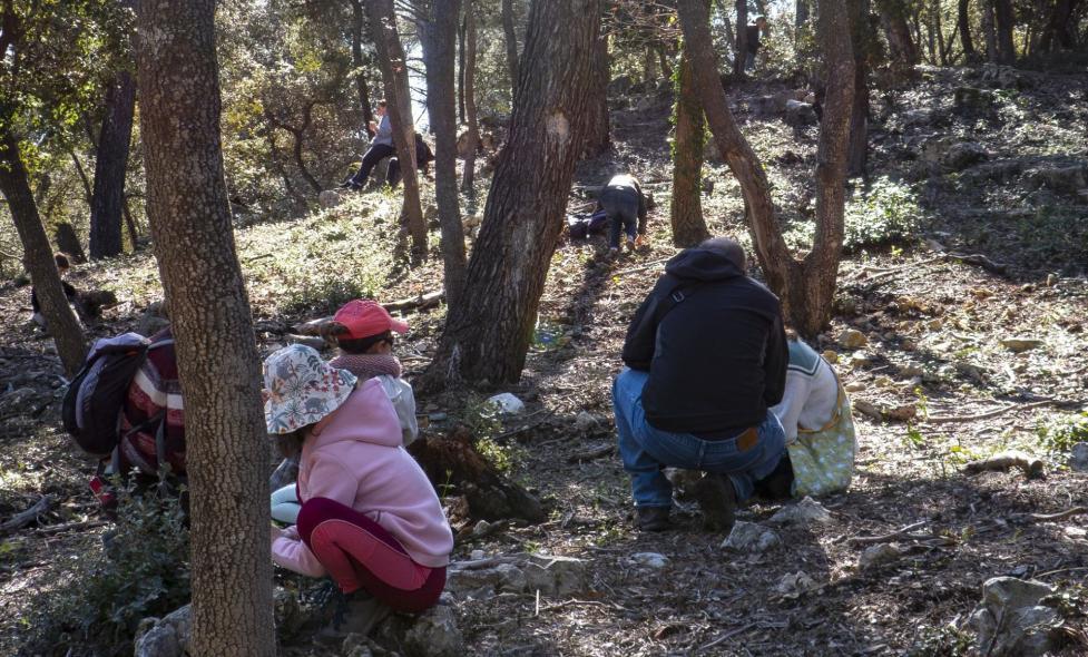 Agrandir l'image, fenêtre modale