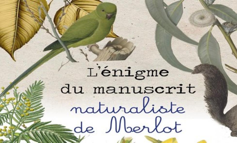 Chasse au trésor - Agrandir l'image, fenêtre modale