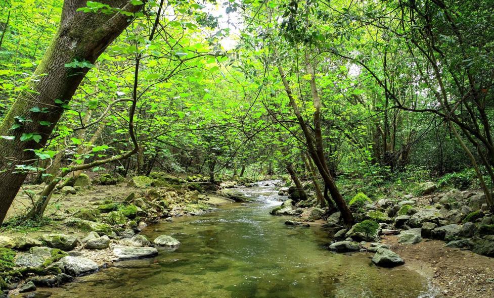 Journée mondiale de l’eau : La Brague au fil de l’eau - Agrandir l'image, fenêtre modale