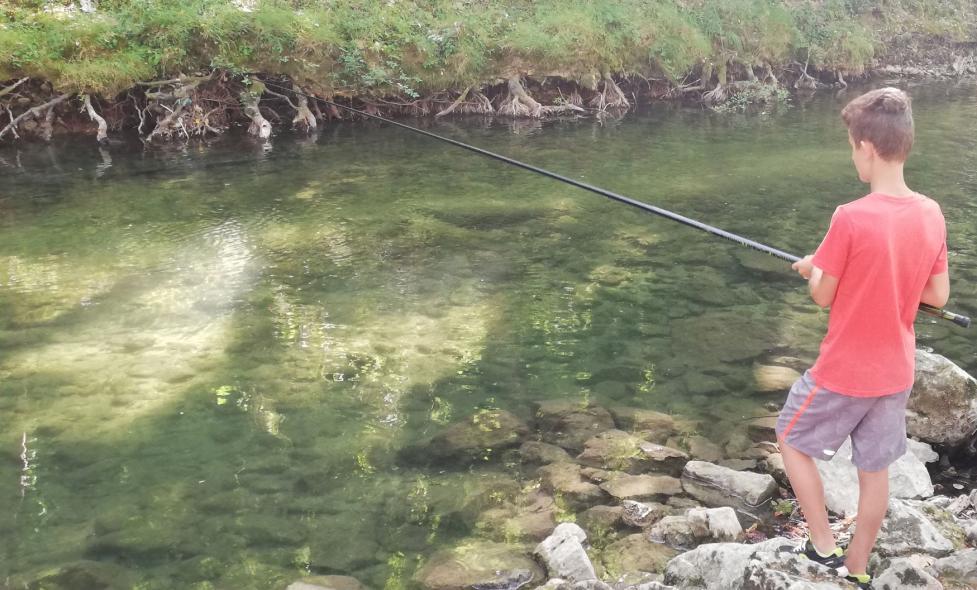 Pêche Loup poissons blancs - Agrandir l'image, fenêtre modale