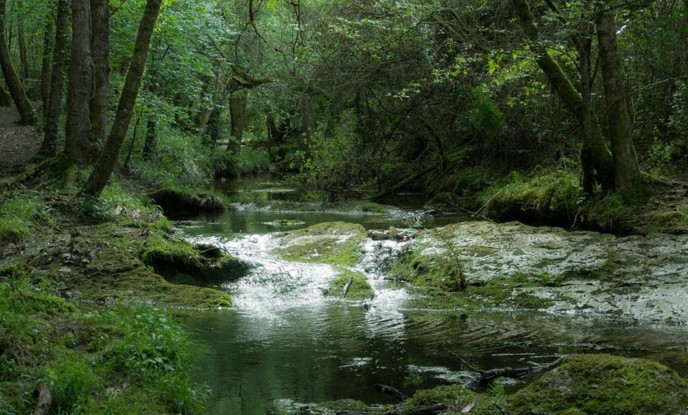 Photo - Brague - Agrandir l'image, fenêtre modale