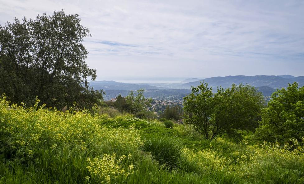 Roquevignon - Oiseaux - Agrandir l'image, fenêtre modale