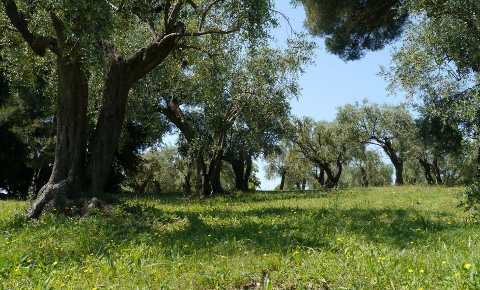 Estienne - Stand - Agrandir l'image, fenêtre modale
