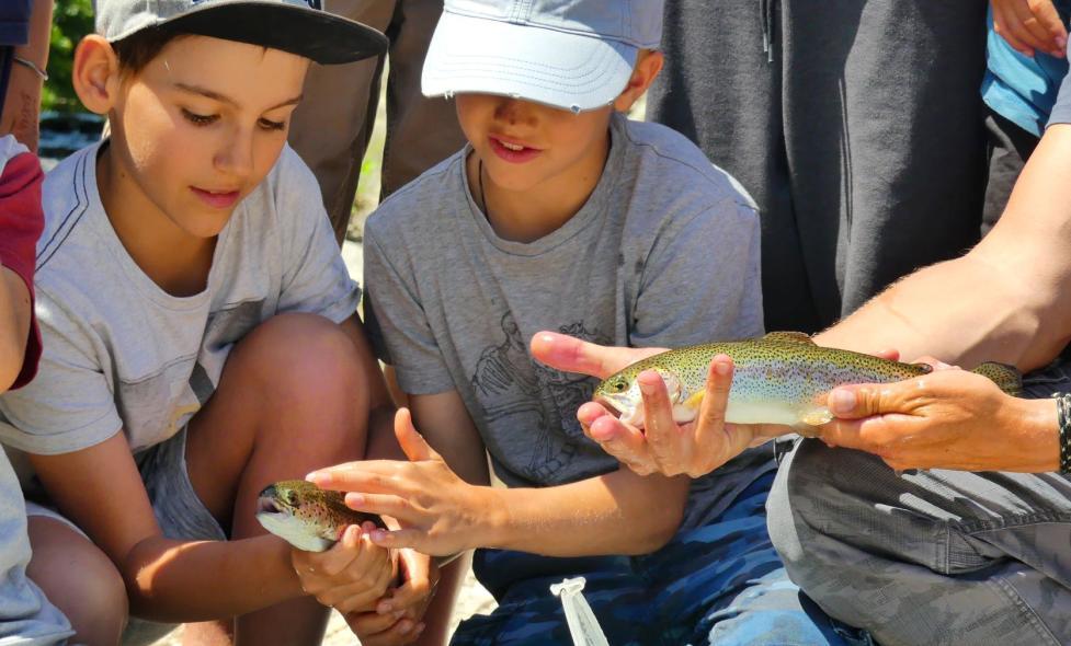 Rives du Loup Poissons blancs - Agrandir l'image, fenêtre modale