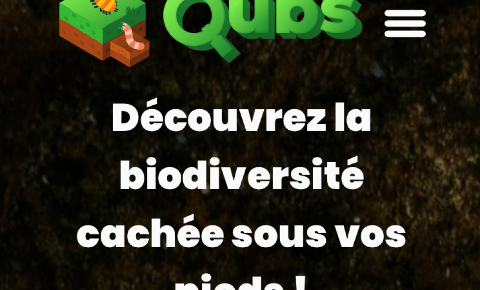 Valmasque - QUBS - Agrandir l'image, fenêtre modale