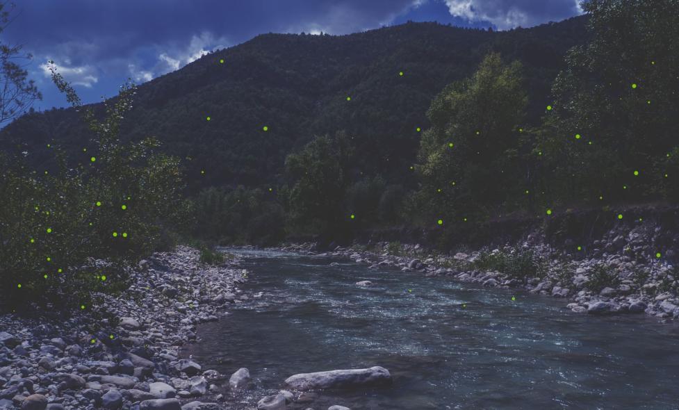 Soirée nature Estéron - Agrandir l'image, fenêtre modale