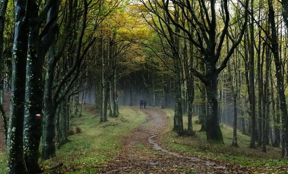 Balade Sinodon - Agrandir l'image, fenêtre modale
