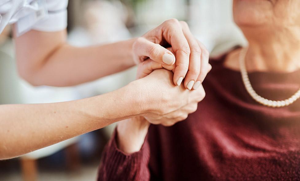 AAC SAAD 2023 - Agrandir l'image, fenêtre modale