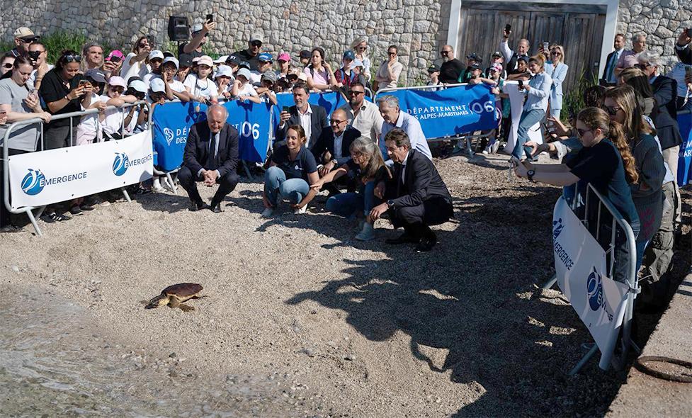 Actu Tortue Lucia - Agrandir l'image, fenêtre modale