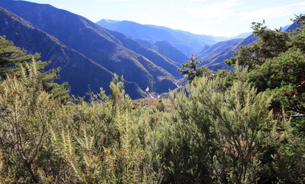 Arboretum Marcel Kroënlein - Agrandir l'image, fenêtre modale