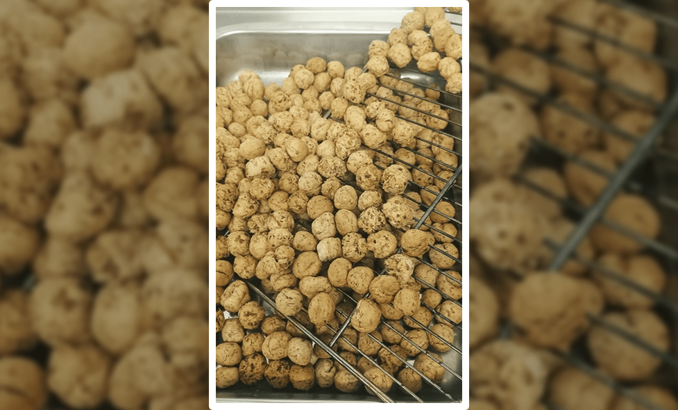 Brasserie Kamous - Agrandir l'image, fenêtre modale