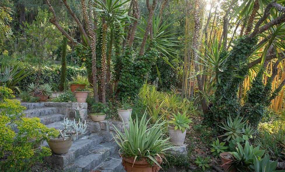 Clos du Peyronnet - Agrandir l'image, fenêtre modale