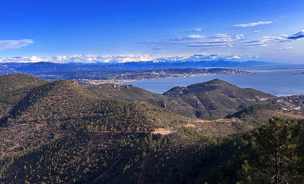 Espèces des Alpes-Maritimes - Agrandir l'image, fenêtre modale
