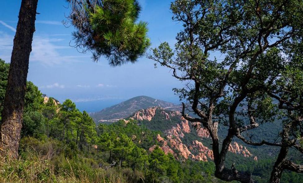 Agrandir l'image, fenêtre modale