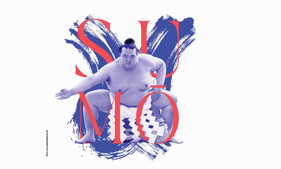 Exposition Sumo - Agrandir l'image, fenêtre modale