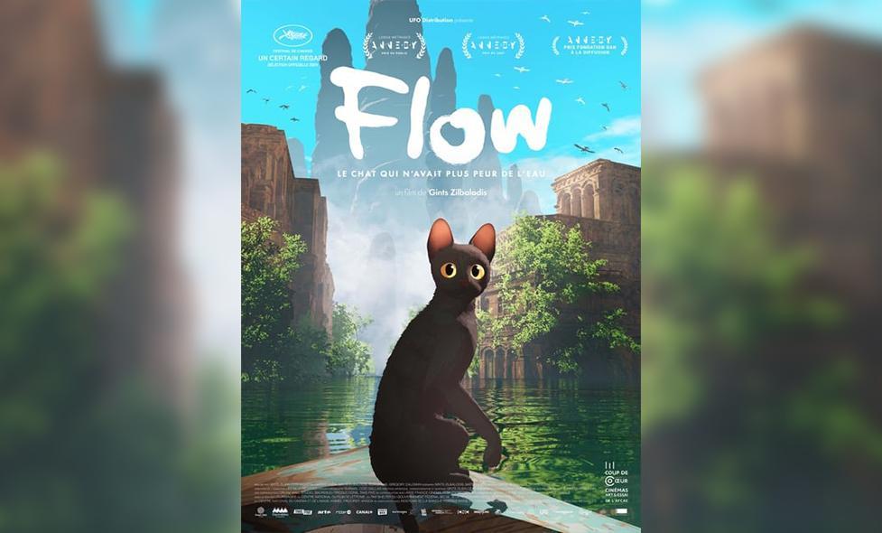 Flow - Agrandir l'image, fenêtre modale