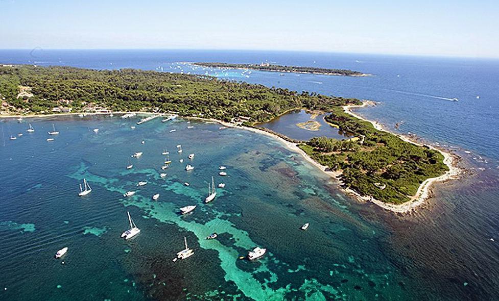 Forêt de l'île Sainte Marguerite - Agrandir l'image, fenêtre modale