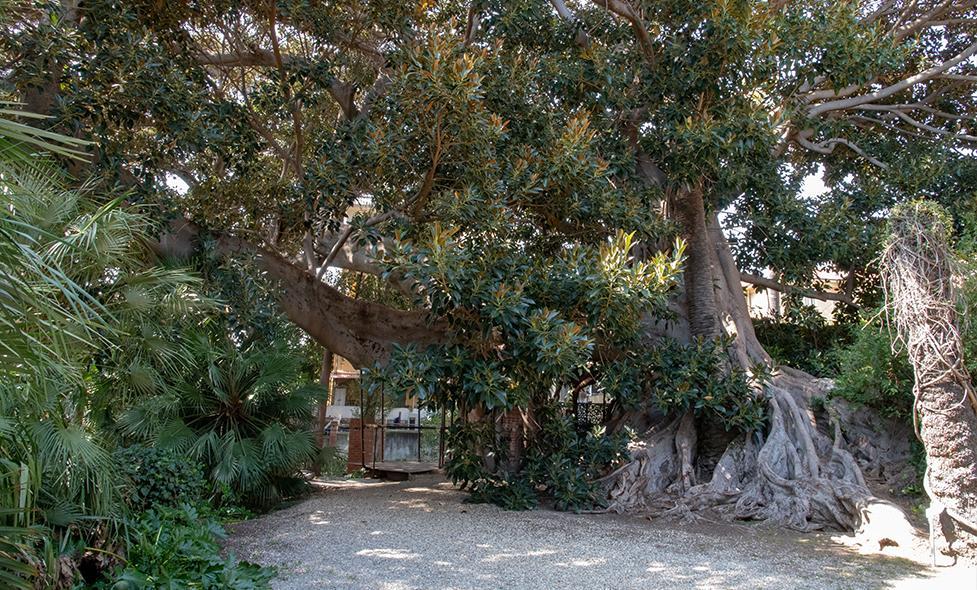 GIARDINI BICKNELL - Agrandir l'image, fenêtre modale