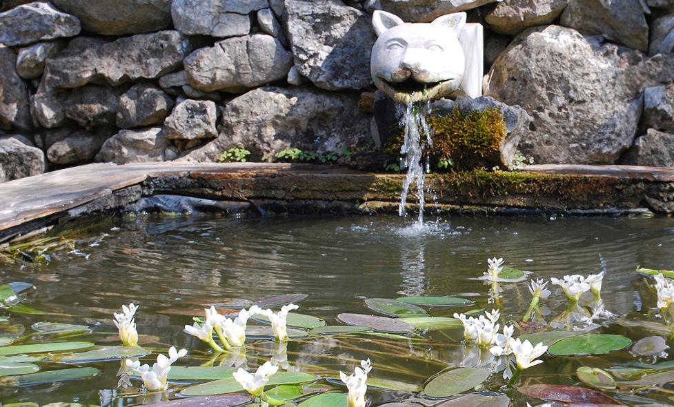 Jardin de l'Argelière - Agrandir l'image, fenêtre modale