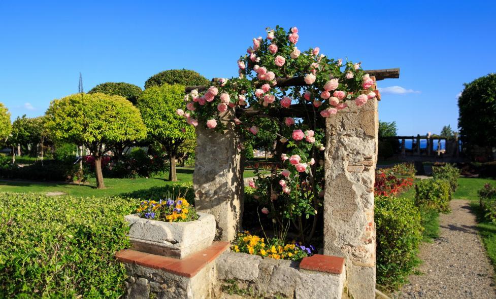 Jardin du monastère de Cimiez - Agrandir l'image, fenêtre modale