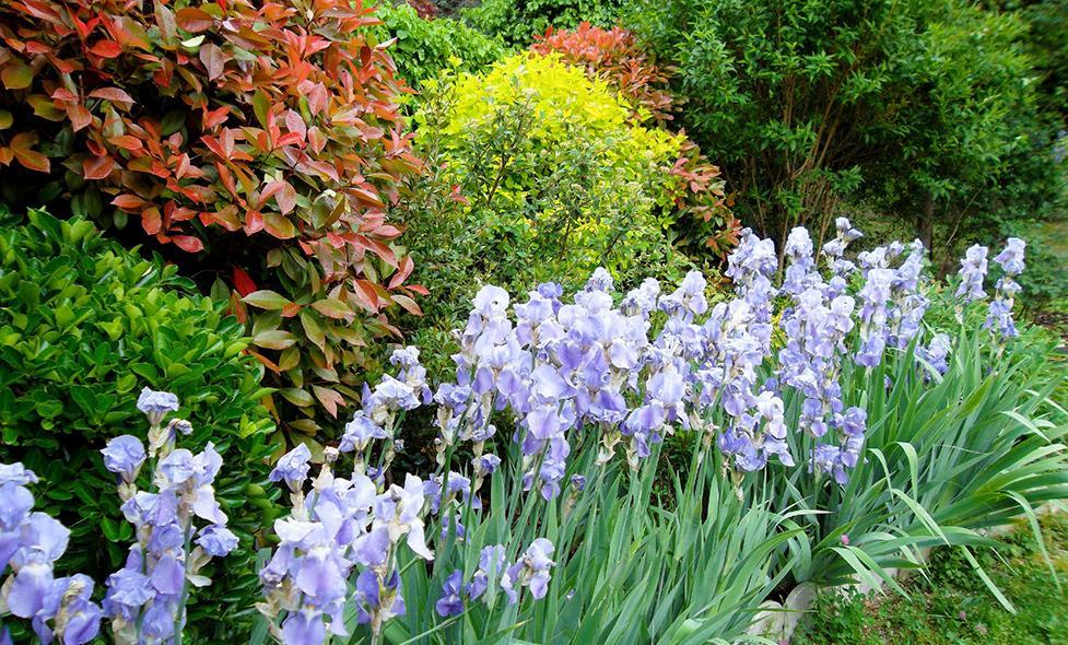 Jardins de la chapelle Sainte-Anne - Agrandir l'image, fenêtre modale