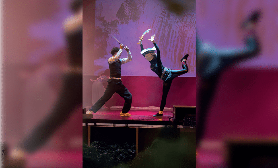 L'apprenti sorcier et les éléments magiques - Agrandir l'image, fenêtre modale