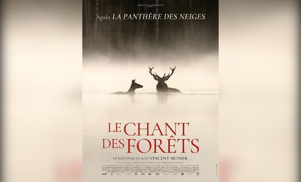 Le Chant des forêts - Agrandir l'image, fenêtre modale