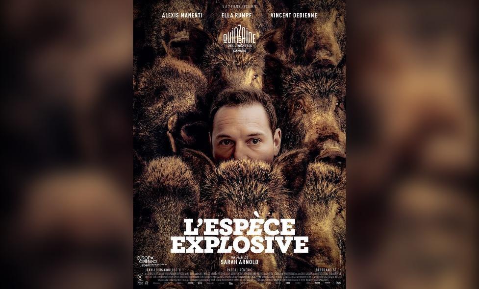 L'espèce explosive - Agrandir l'image, fenêtre modale