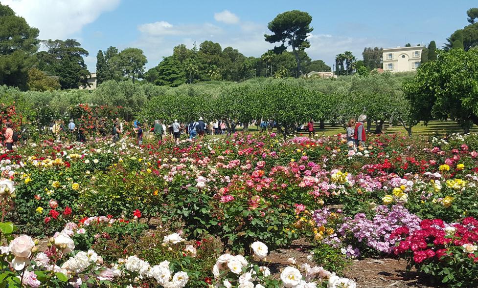 Parc de la Villa Eilenroc - Agrandir l'image, fenêtre modale
