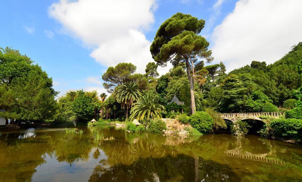 Parc du Château de Valrose - Agrandir l'image, fenêtre modale