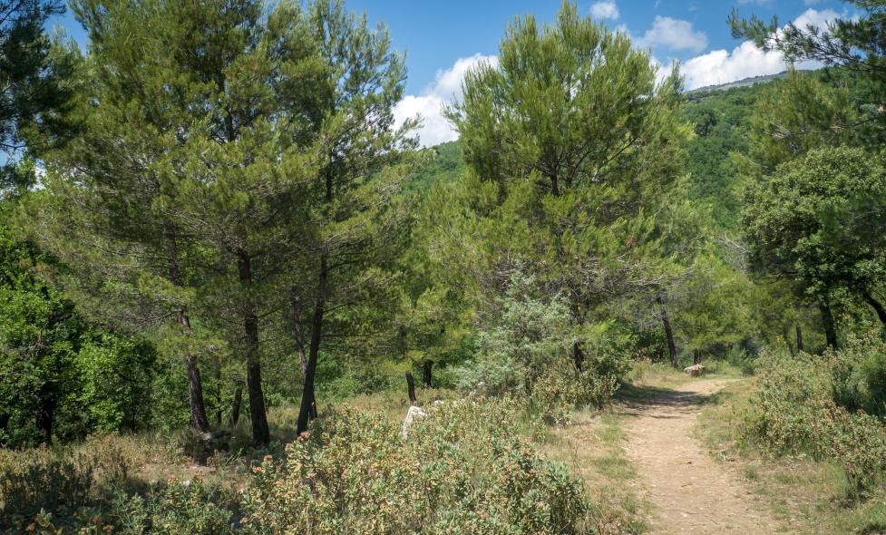 Roquevignon - Agrandir l'image, fenêtre modale