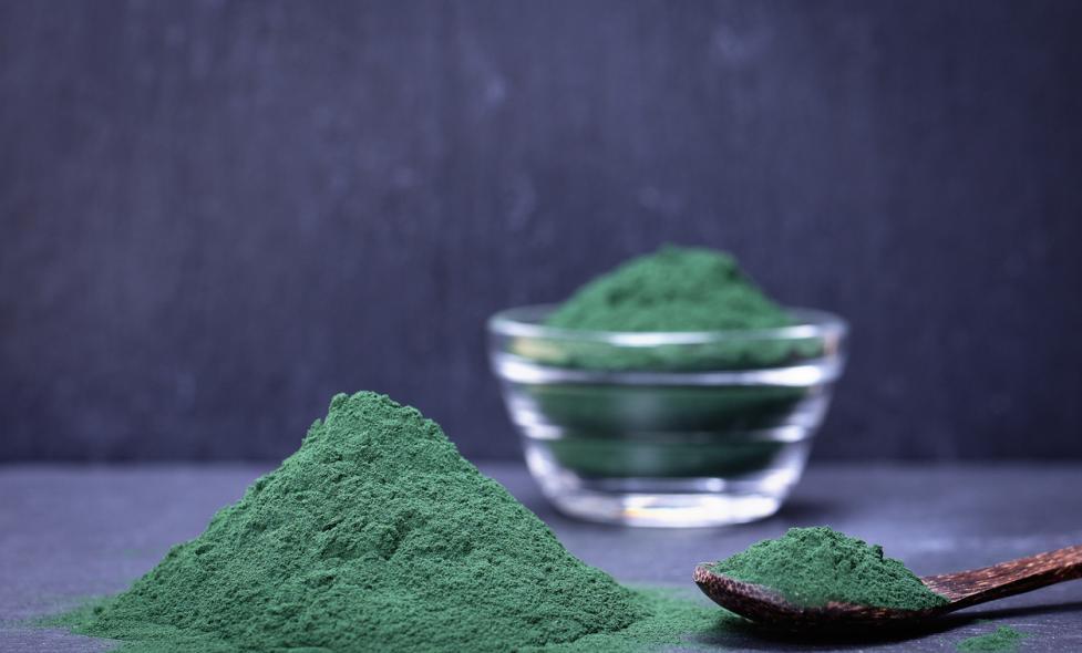 Spiruline - Agrandir l'image, fenêtre modale