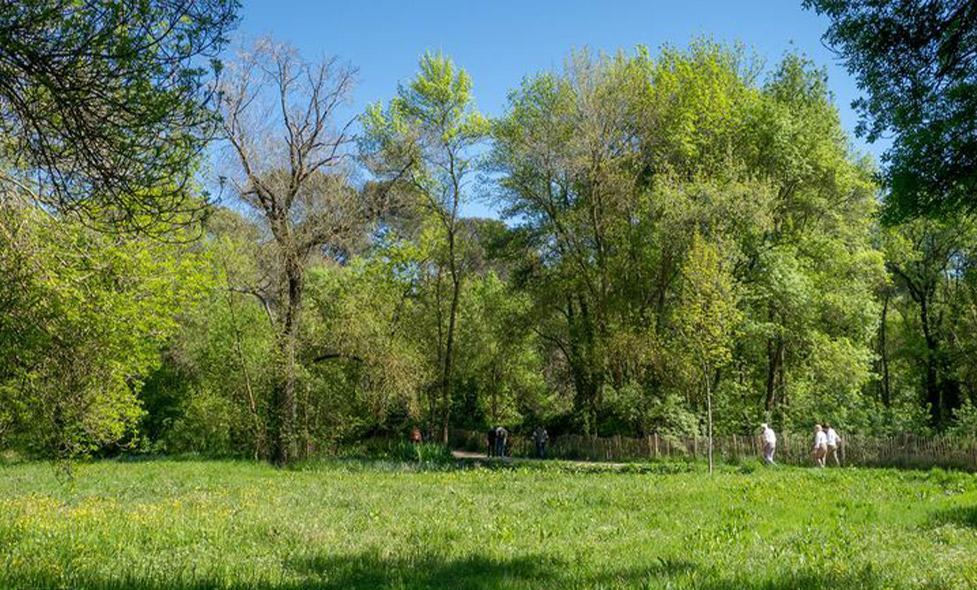 Agrandir l'image, fenêtre modale